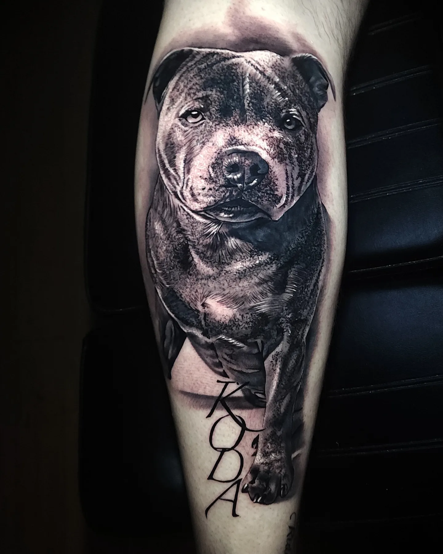 Dog portrait realism tattoo by best tattoo artist in Melbourne Australia
